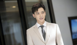 文章演的电视剧有哪些,从文章到荧幕的华丽转身